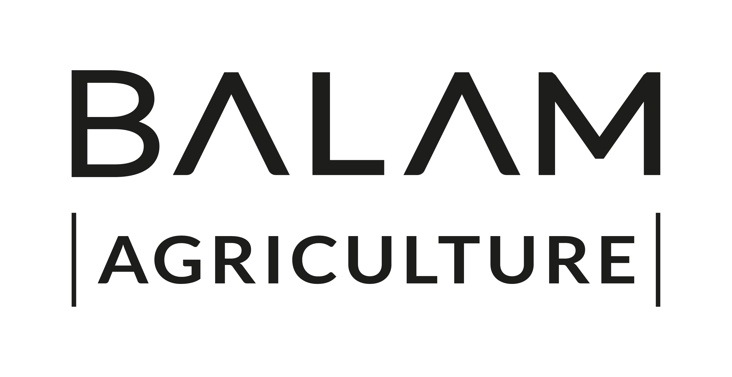 3 LOGO_BALAM_Agriculture